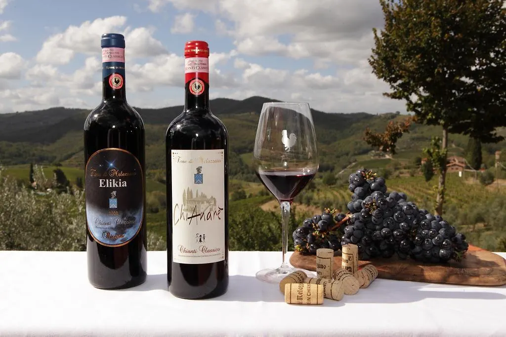 Terre Di Melazzano - Le Case Di Chiara Greve in Chianti