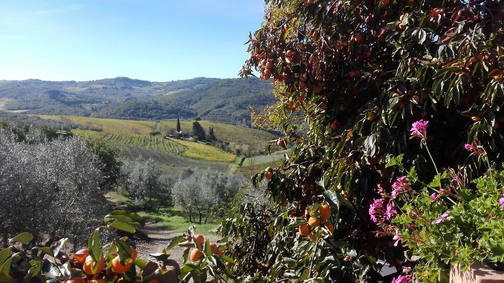 Terre Di Melazzano - Le Case Di Chiara Greve in Chianti Farm stay