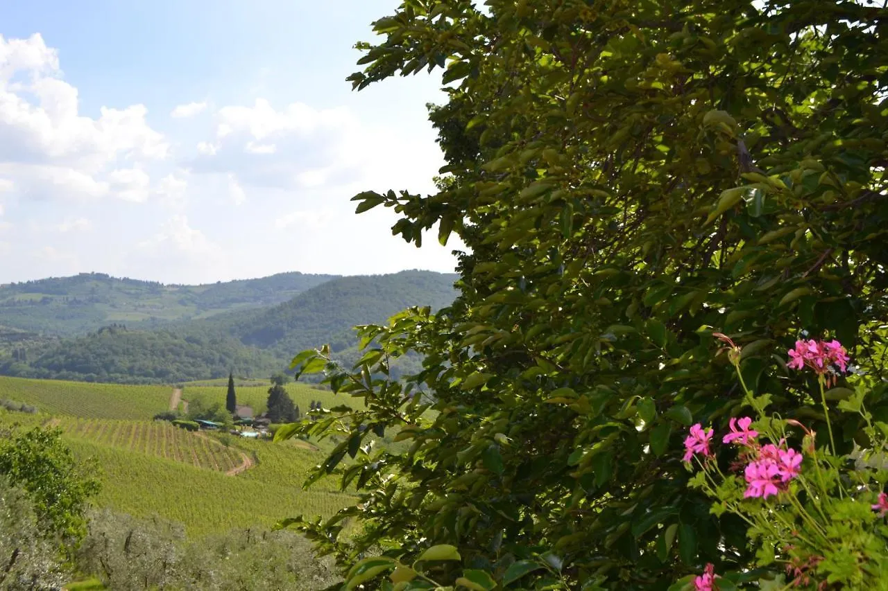 Terre Di Melazzano - Le Case Di Chiara Greve in Chianti Farm stay