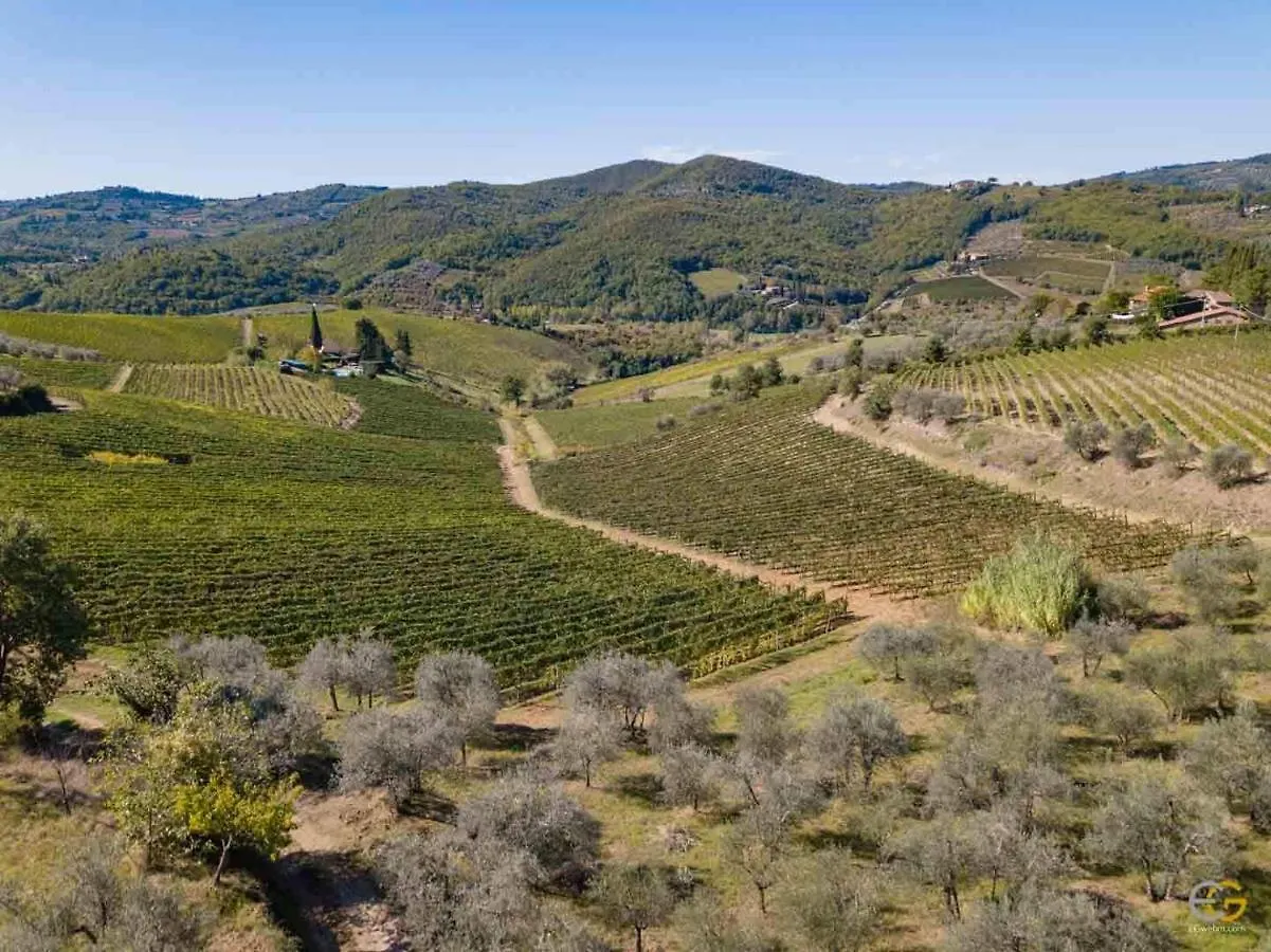 Terre Di Melazzano - Le Case Di Chiara Greve in Chianti Farm stay